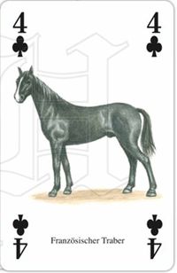 w38030-kartenspiel-pferde-und-ponys-beispiel1